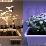 LED Blue Grow Light: When It Works (and When It Fails)